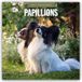 Papillons Red Robin Publishing LTD Papillons - Schmetterlingshund - Zwergspaniel 2027 - 16-Monatskalender