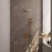Brauer Gold Edition Thermostatische Regendoucheset Inbouw - Hoofddouche 20 cm - Gebogen Wandarm - 3 Weg - Handdouche Rond - Doucheslang - Geintegreerde Glijstang - Geborsteld Goud