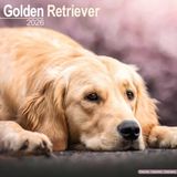 Avonside Golden Retriever Kalender 2026 Wandkalender