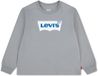 Levi's Kids Batwing T-shirt Lange Mouwen Grijs