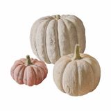 LOBERON Pompoen set van 3 Pumpkin bont