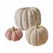 LOBERON Pompoen set van 3 Pumpkin bont