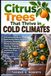 Citrus Libri GmbH Citrus Trees That Thrive in Cold Climates