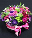 Flower Box Funky - Mix of Fresh Seasonal Flowers - Pink, Green, Purple, and Red - 15x10cm