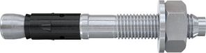 Fischer FAZ II Plus 12/20 K EV Doorsteekanker - Verzinkt Staal (20 stuks)