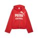 PUMA Hoodie KING Sportstyle Homme, Accessoires, Rouge, XL