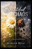 Beautiful CHAOS: A Story of Breaking and Becoming