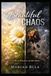 Beautiful CHAOS: A Story of Breaking and Becoming