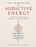 The Independently Published The Architecture of Addictive Energy: How Persistent Activation Reorganizes the Human Organism Paperback