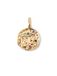 SINGULARU Charm Organic Colors Zodiaco Hanger in messing met 18 kt goud verguld