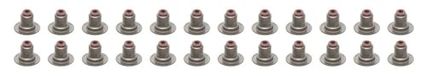 Valve steam seal set