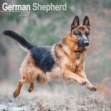 Avonside Duitse Herder Kalender 2027