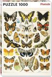 Piatnik 570445 Millot-vlinders en moths Puzzel met 1000 stukjes, kleurrijk