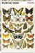 Piatnik 570445 Millot-vlinders en moths Puzzel met 1000 stukjes, kleurrijk