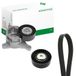 Ina 529 0183 tandriem, 10 stuks
