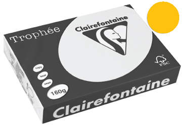 Clairefontaine Trophée Gekleurd papier A4 160 g/m² Goudgeel 250 Vel