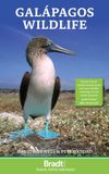 Galapagos Bradt Travel Guides Galapagos Wildlife