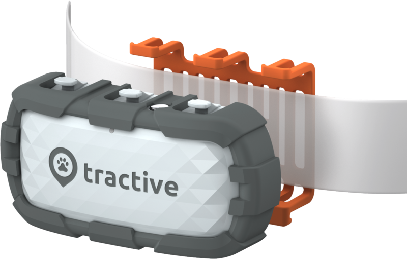 Tractive Tractive Gps Tracker Hond XL Adventure Grijs Recreatieve gps