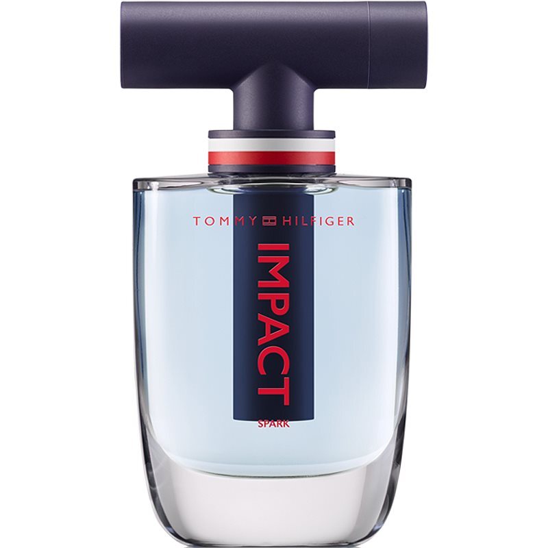 Tommy Hilfiger Impact eau de toilette / 100 ml / heren