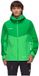 Mammut Crater IV Hardshell Gore-Tex Veste Vert L Hommes