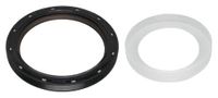 Oil Icecat Oil seal
