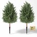 VEVOR Plante artificielle 2 pièces. Cèdre artificiel avec piquet de terre 914 mm