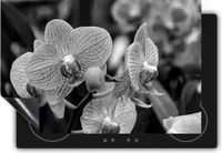 Chefcare Inductie Beschermer Geel Rode Orchidee Bloemen - Zwart Wit - 75x50 cm