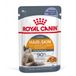 Royal Canin Hair & Skin Care Jelly Kattenvoer Nat - 48 x 85 gr