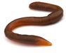 Spro Freestyle Twitch Worm Natural Brown