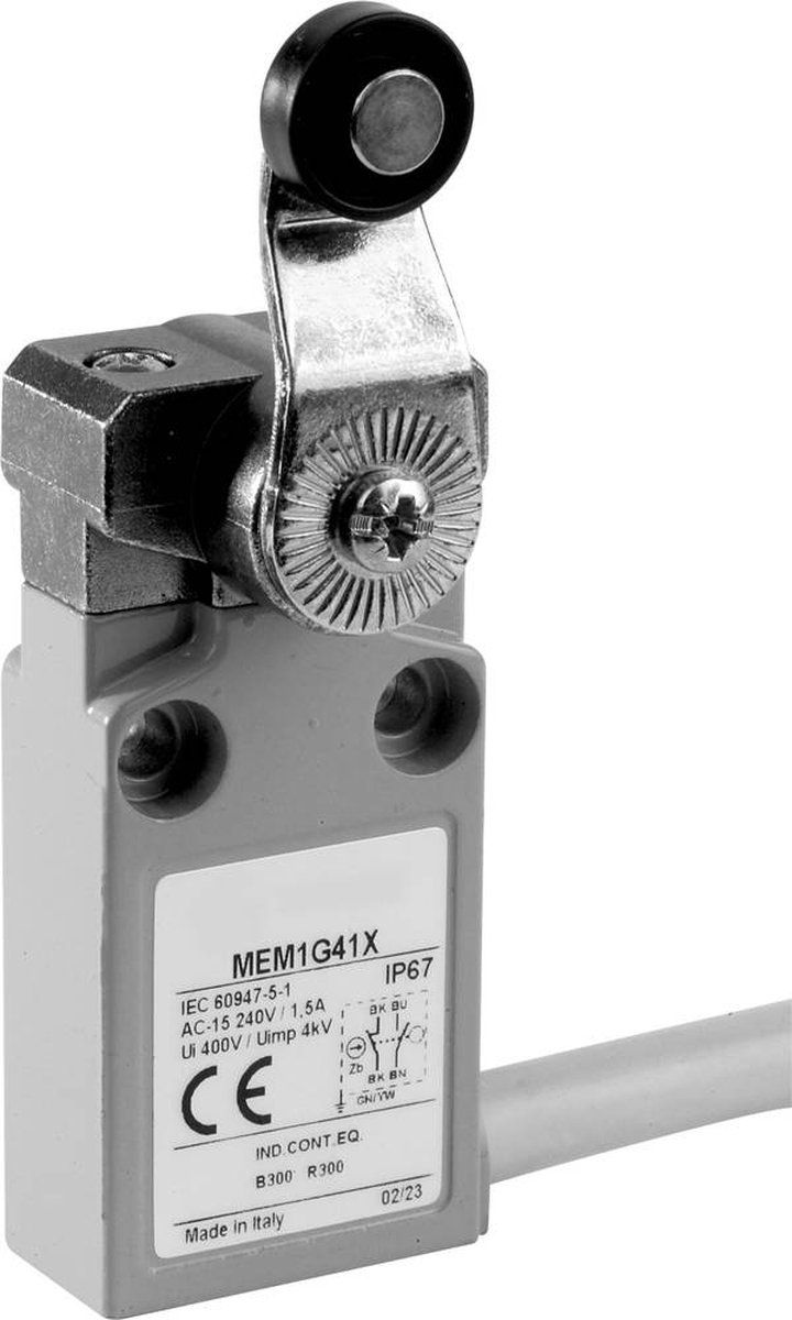 Panasonic MEM1G42ZD Eindschakelaar 24 V 5 A Rolhendel IP67 1 stuk(s)