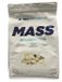 Gainers - Accélération de masse, Vanille - 3000g