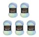 5 Wollbiene Batik Fine 5 x 100 g Wol met Kleurverloop