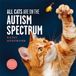 All Bol All Cats Are on the Autism Spectrum