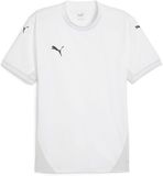 Puma TeamFinal-shirt 705737