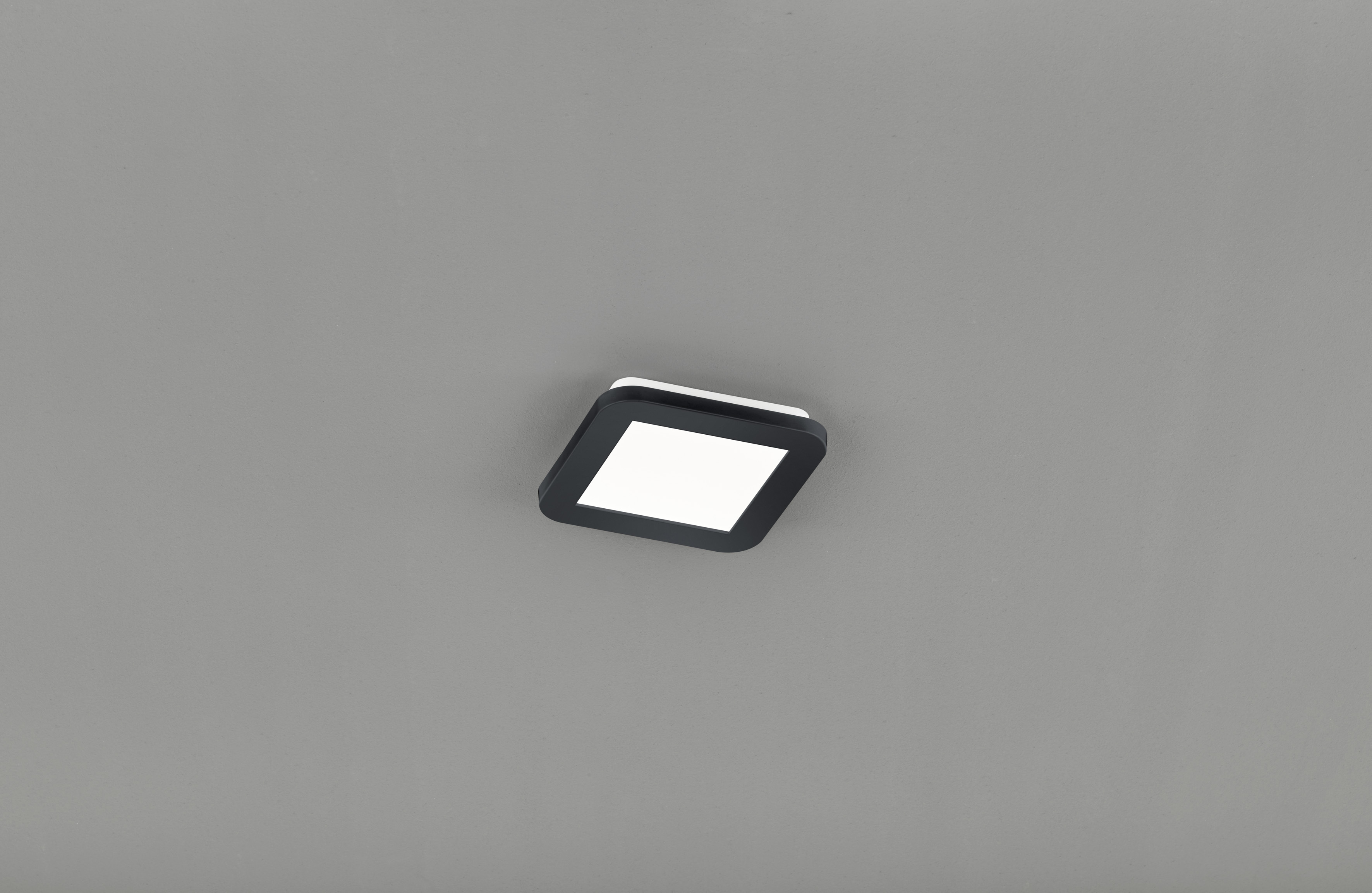 Reality Reality CAMILLUS - PlafonniÃ¨re - Zwart - LED - met geÃ¯ntegreerde 4 stappen dim functie - geschikt voor badkamer - 17 cm