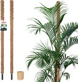 KOTARBAU® 2 st Kokosstok, Plantenstok, ⌀ 3,2 x 120 cm, Kokosstaaf, Klimhulp Monstera, Bruin, Kokosvezel, Klimhulp, Plantenstaaf, Kokosstok voor Monstera, Kokosstaaf voor Klimplanten