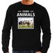 Bellatio Decorations Koe Dieren foto sweater zwart heren farm animals cadeau trui Kudde koeien liefhebber L