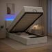 Prolenta Maison Exclusive - Lit Ottoman avec matelas et éclairage LED, gris clair, 100 x 200 cm, revêtement en velours