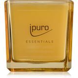 ípuro Essentials Geurkaarsen 125 gr