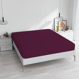 Max Color hoeslaken pruim 170 x 200 cm