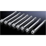 Rittal SV 9676.806 Connexion à vis 8 pièce(s)