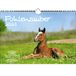 Veuhlenzauber A4-kalender voor 2023 paarden en veulen - Seelenzauber