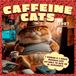 Caffeine Brown Trout Caffeine Cats 2027 12 X 24 Inch (Hanging) Monthly Square Wall Calendar Plastic-Free Animal Crankers