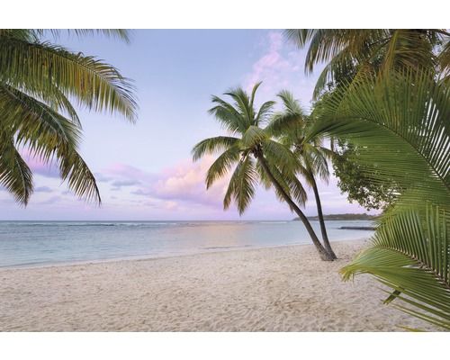 KOMAR Vlies-fotobehang Paradise Morning XXL4-528 248x368 cm