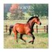 Grupo Erik Paarden Dieren Muur Kalender 2027 UK - Paard Geschenken