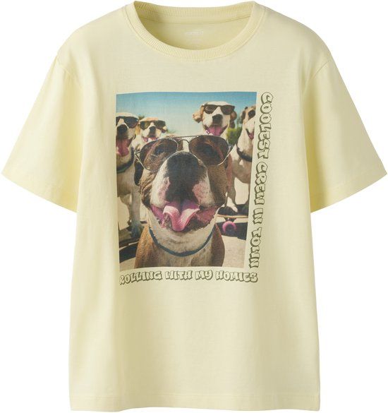 NAME IT NKMVOTO SS NREG TOP Jongens T-shirt Katoen Ronde hals Print Pear Sorbet Maat 116