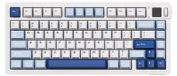 Akko MOD 007 V5 HE Magnetische Gaming-toetsenbord, 75%, USB-C, 8K, AstroAim Switch, TFT RGB, Glacier Blue