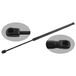 febi bilstein 31411 gasveer voor achterklep met vaste schijf, 1 stuk | Compatibel met: CITROËN C4 GRAND PICASSO I, C4 PICASSO I Großraumlimousine