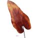 ARTIFICIELLES Feuille De Caladium Artificiel En Tige H 80 Cm Automne - Couleur: Automne