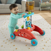 Fisher-Price Fisher-Price Stabiel Tempo 2-zijdige Loopwagen